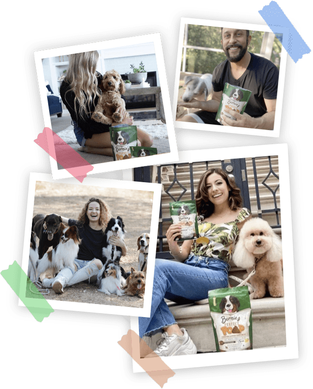 Collage of photos of dog parents and their dogs.