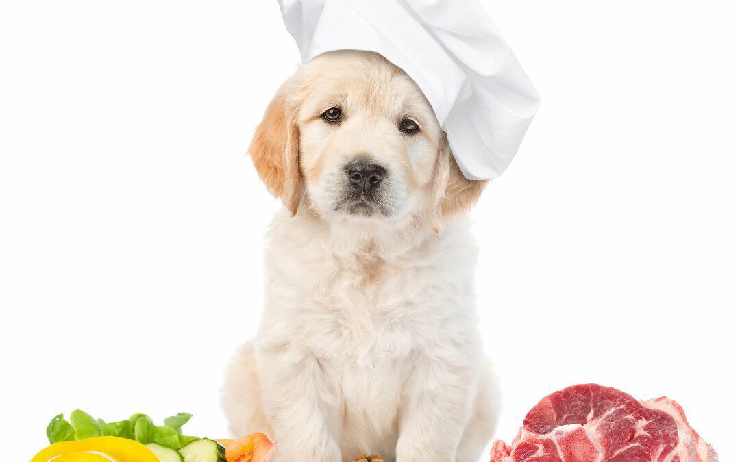Dog Raw Diets: Does A Dog Poop Less?