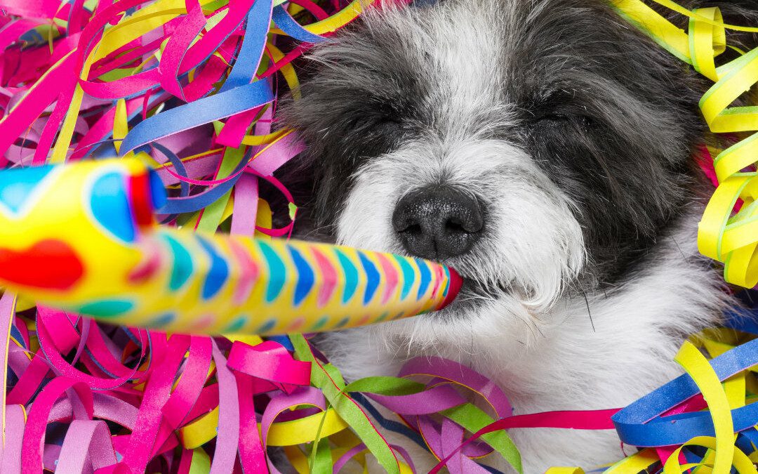 4 New Year’s Resolutions Dog Parents Should Keep