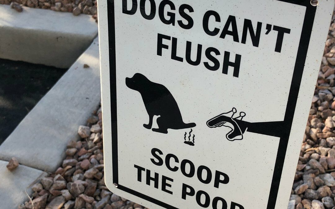 Research Suggests the World Needs Perfect Poop