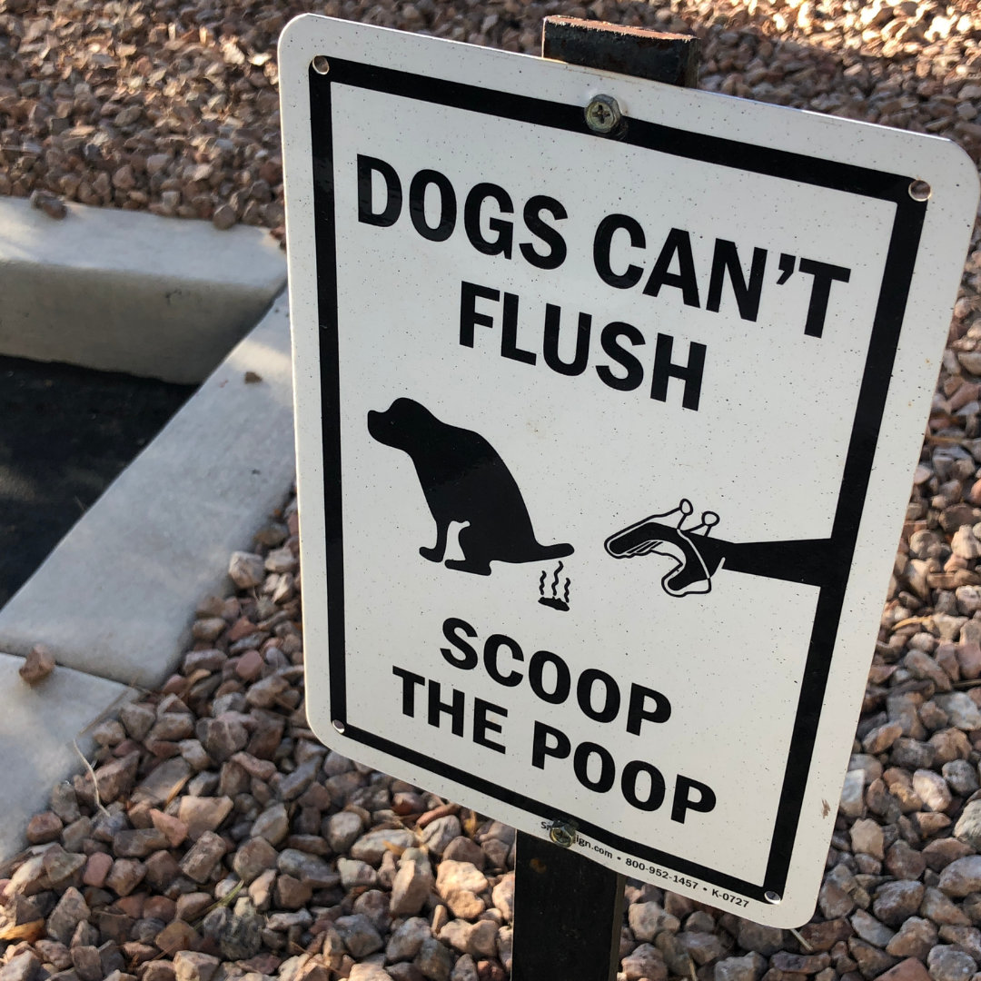 Photo of a sign stating, "Dogs can't flush, scoop the poop."