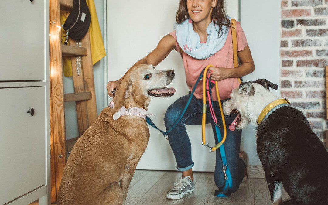 Stay (Home)! How to Find a Pet Sitter for Your Dog
