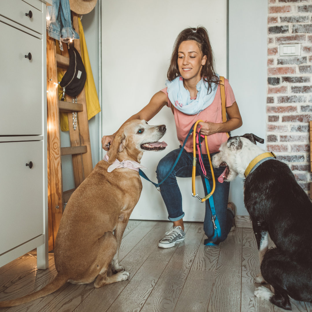 Photo of a woman attaching a leash to her dog's collar.