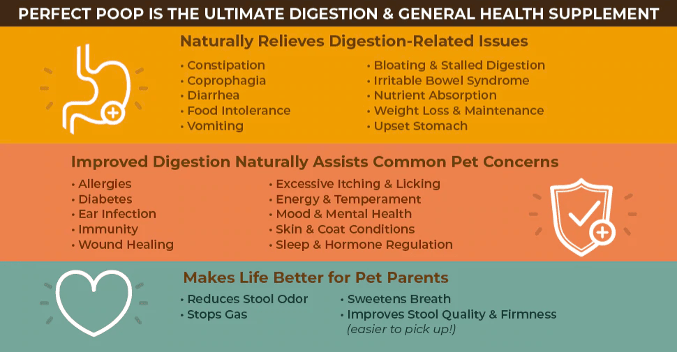 Infographic: Perfect Poop is the ultimate digestion and general health supplement.