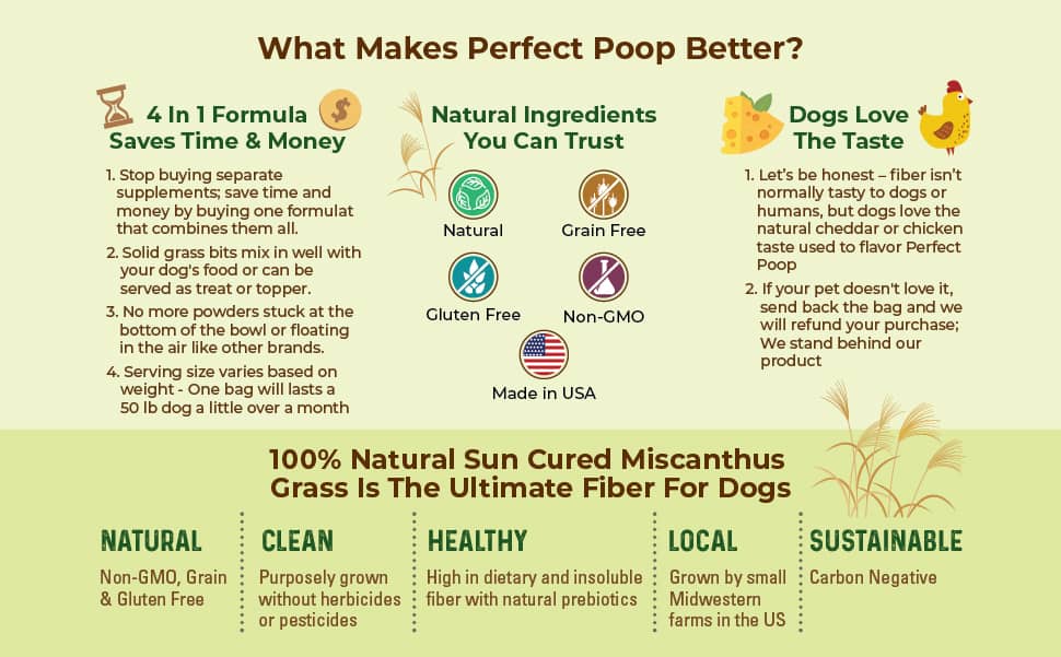 Infographic: What makes Perfect Poop better?