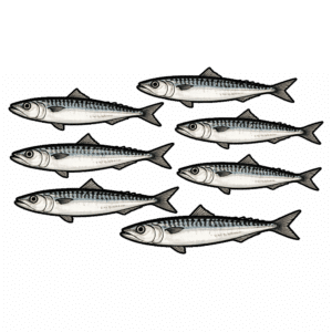 Sardines